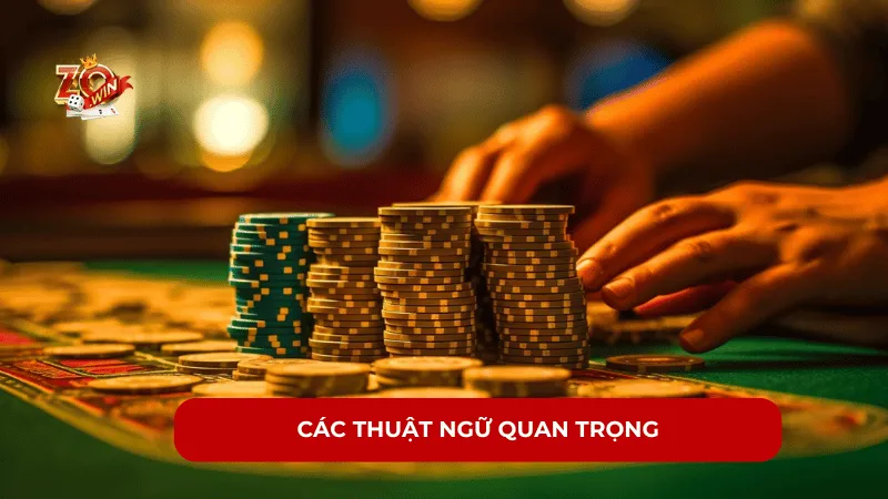 Các thuật ngữ quan trọng